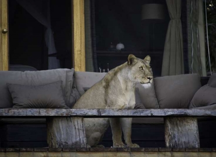 Shumba – Kafue National Park