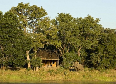 Kapamba Bushcamp – South Luangwa National Park