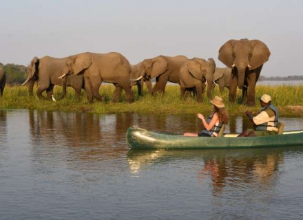 Sausage Tree camp – Lower Zambezi National Park