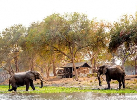 Old Mondoro Camp – Lower Zambezi National Park