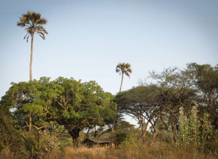 Nomad Chada Katavi – Katavi National Park