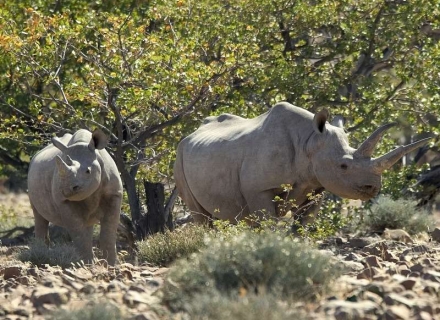 12 Night Southern Malawi Exploration