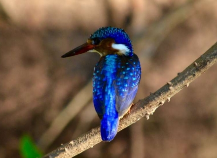 10 Night Northern Malawi Journey