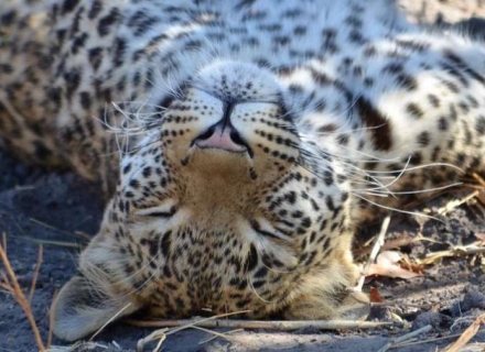 13 Night Iconic Africa – Kenya, Zambia and Zimbabwe