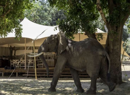 Little Ruckomechi – Mana Pools National Park