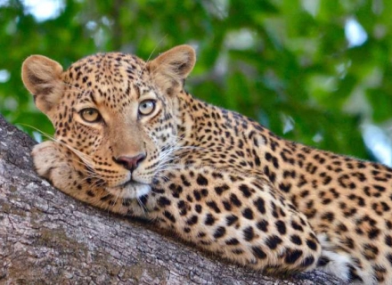 Stay Longer for Less at Tanda Tula
