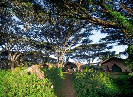 Lemala Ngorongoro – Ngorongoro Crater