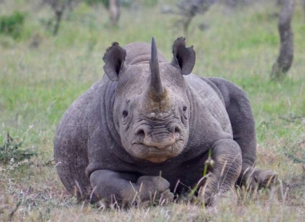 13 night Ladies Only Safari to Kenya and Tanzania – September 2023