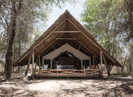 Jongomero – Ruaha National Park