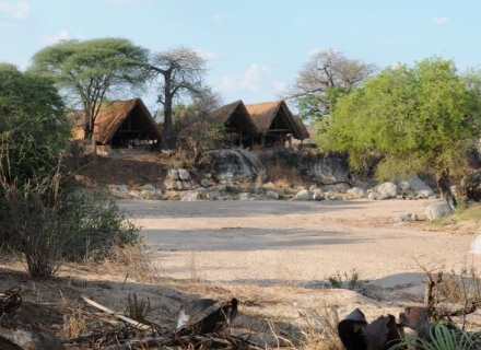 Mwagusi Safari Camp – Ruaha National Park