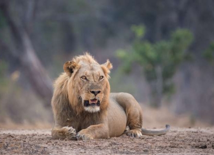 16 Night Luxury Zimbabwe Explorer