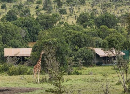Porini Rhino Camp – Ol Pejeta Conservancy – Laikipia