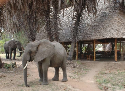 Lake Manze Tented Camp – Selous Game Reserve