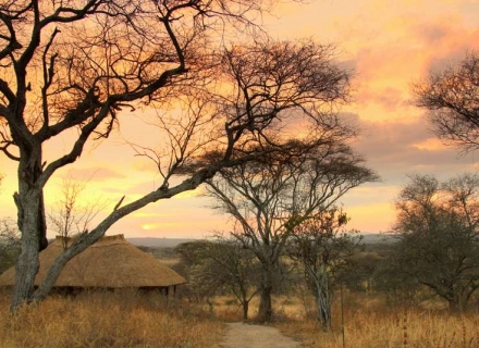 Asilia Little Oliver’s Camp – Tarangire National Park