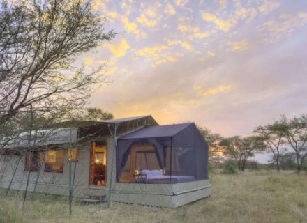 Asilia Olakira Migration Camp – Serengeti