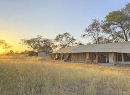 Asilia Ubuntu Migration Camp -Serengeti National Park