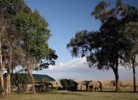 Governors’ Camp – Masai Mara Reserve