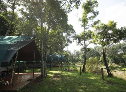 Governors’ Private Camp – Masai Mara Reserve
