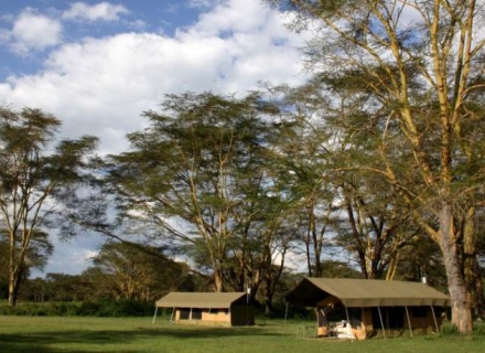 Porini Giraffe Camp – Mara Ripoi Conservancy – Masai Mara