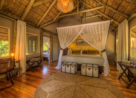 Dinaka – Dinaka Private Reserve – Central Kalahari Game Reserve