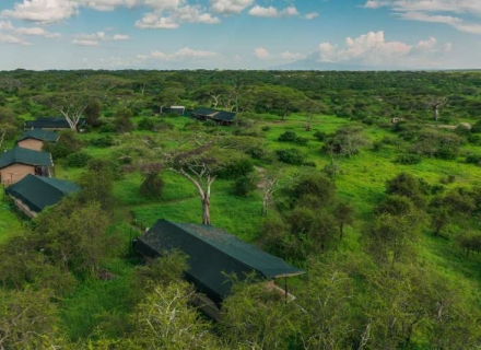 Lemala Mara and Ndutu Tented Camp – Serengeti National Park