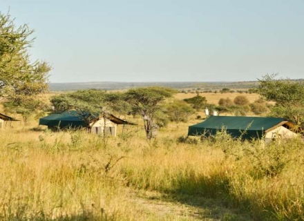 Kiota Camp – Central Serengeti