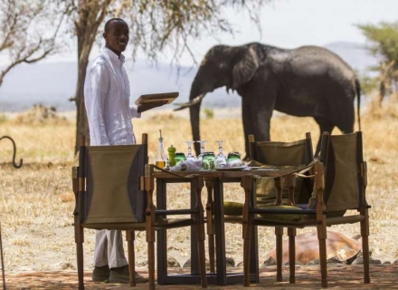 Little Chem Chem – Tarangire National Park
