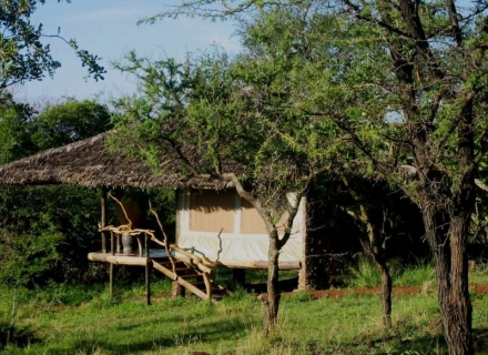 Mbalageti Serengeti – Western Serengeti
