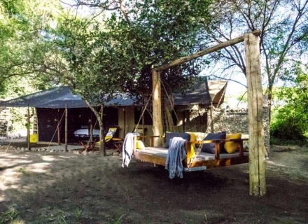 Forest Chem Chem – Tarangire National Park