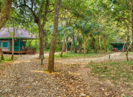 Mbali Mbali Gombe Lodge – Gombe Stream National Park