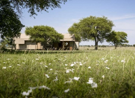 Singita Sabora Tented Camp – Singita Grumeti Reserve – Western Serengeti