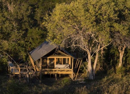 Sable Alley – Khwai Private Reserve – Okavango Delta