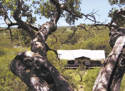 Elewana Serengeti Migration Camp – Northern Serengeti