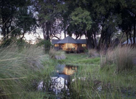 Duba Explorers Camp – Duba Plains Reserve – Okavango Delta