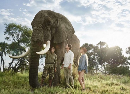 Sanctuary Baines Camp – Okavango Delta