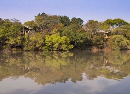 Fig Tree Bush Camp – Kafue National Park