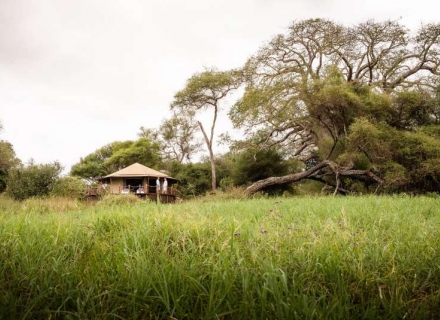 Sanctuary Swala – Tarangire National Park