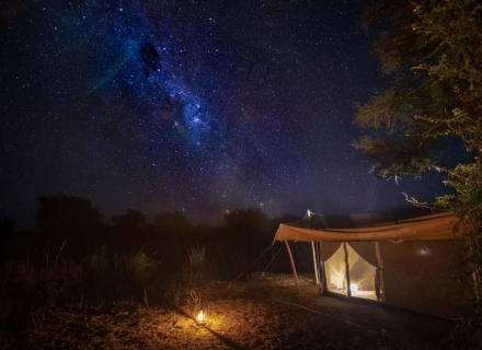 Chula Island Camp – Lower Zambezi National Park