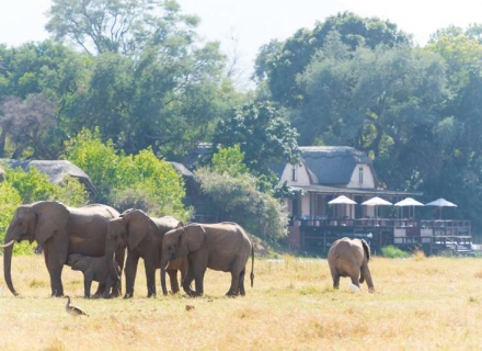 Royal Zambezi Lodge – Lower Zambezi National Park