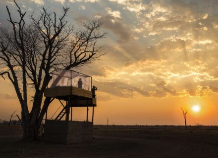 Mwamba Camp – South Luangwa National Park