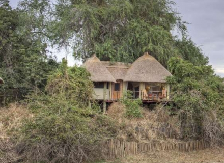 Lion Camp – South Luangwa National Park