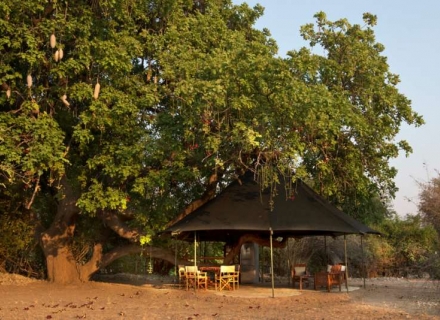 Mapazi Camp – South Luangwa National Park