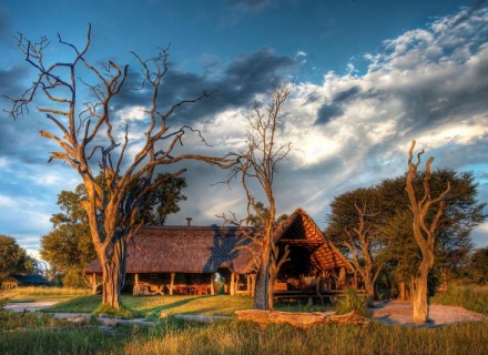 Bomani Tented Lodge – Hwange National Park