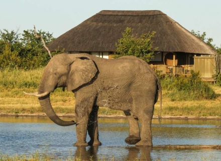 Nehimba Safari Lodge – Hwange National Park
