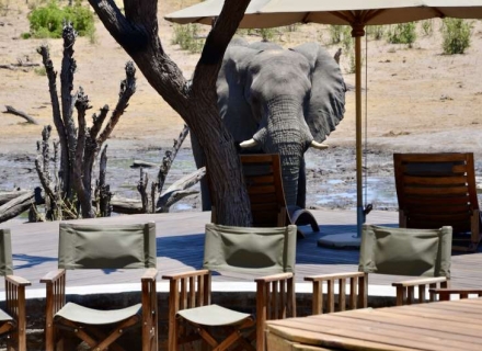 Somalisa Camp – Hwange National Park