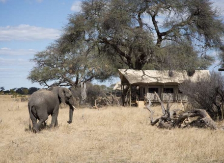 Somalisa Expeditions – Hwange National Park