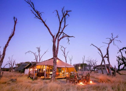 The Private Hide – Hwange National Park