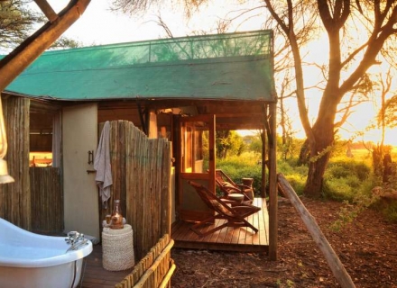 Tom’s Little Hide – Hwange National Park
