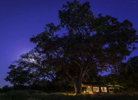 John’s Camp – Mana Pools National Park