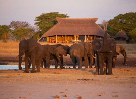 Camp Hwange – Hwange National Park